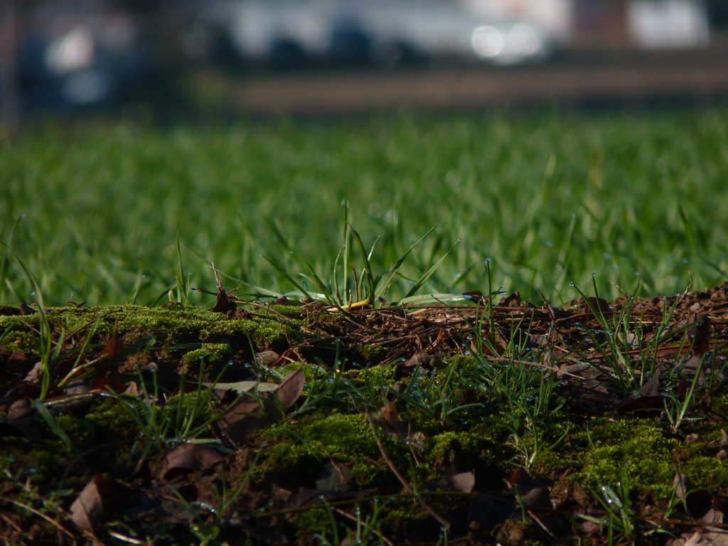 No s'ha trobat l'arxiu